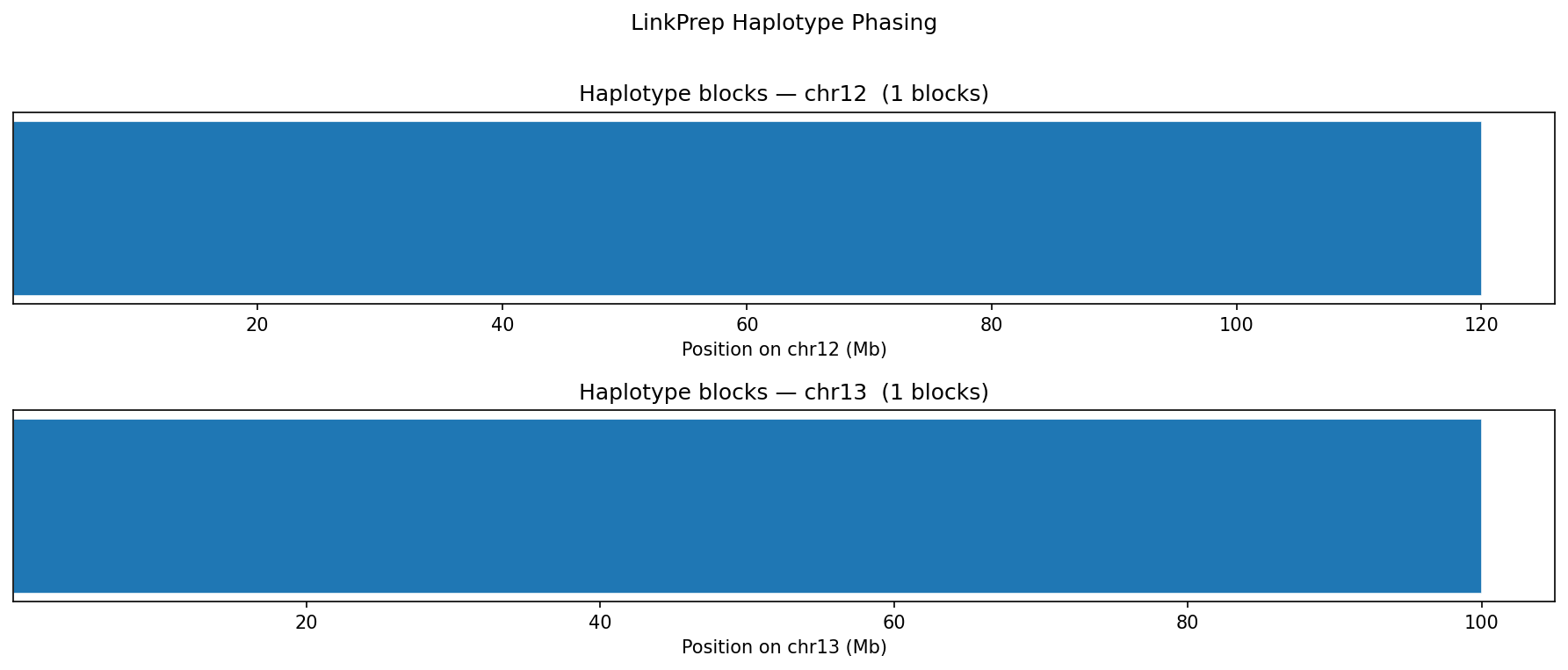 Haplotype blocks