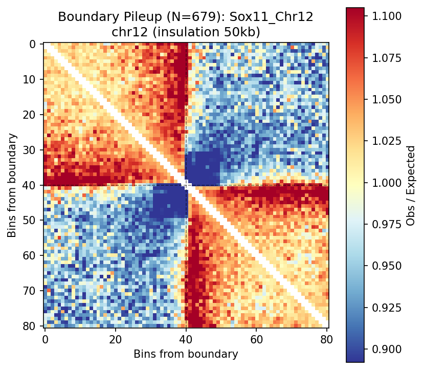 Boundary Pileup