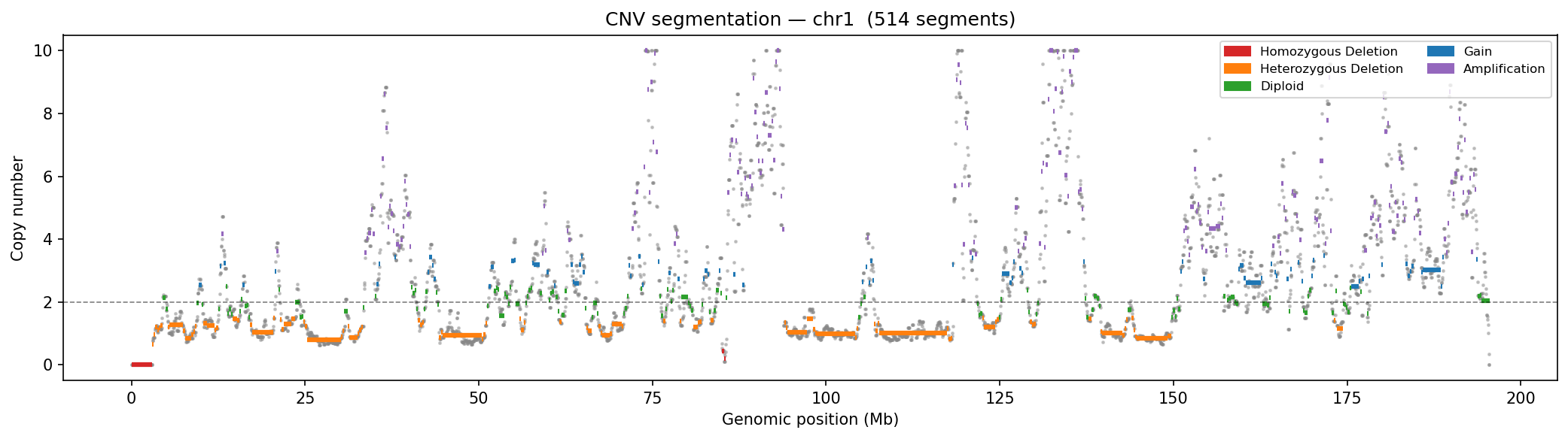 CNV segments
