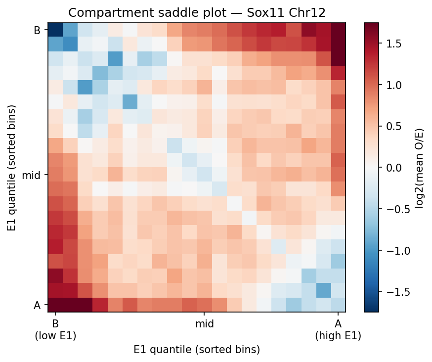Saddle plot