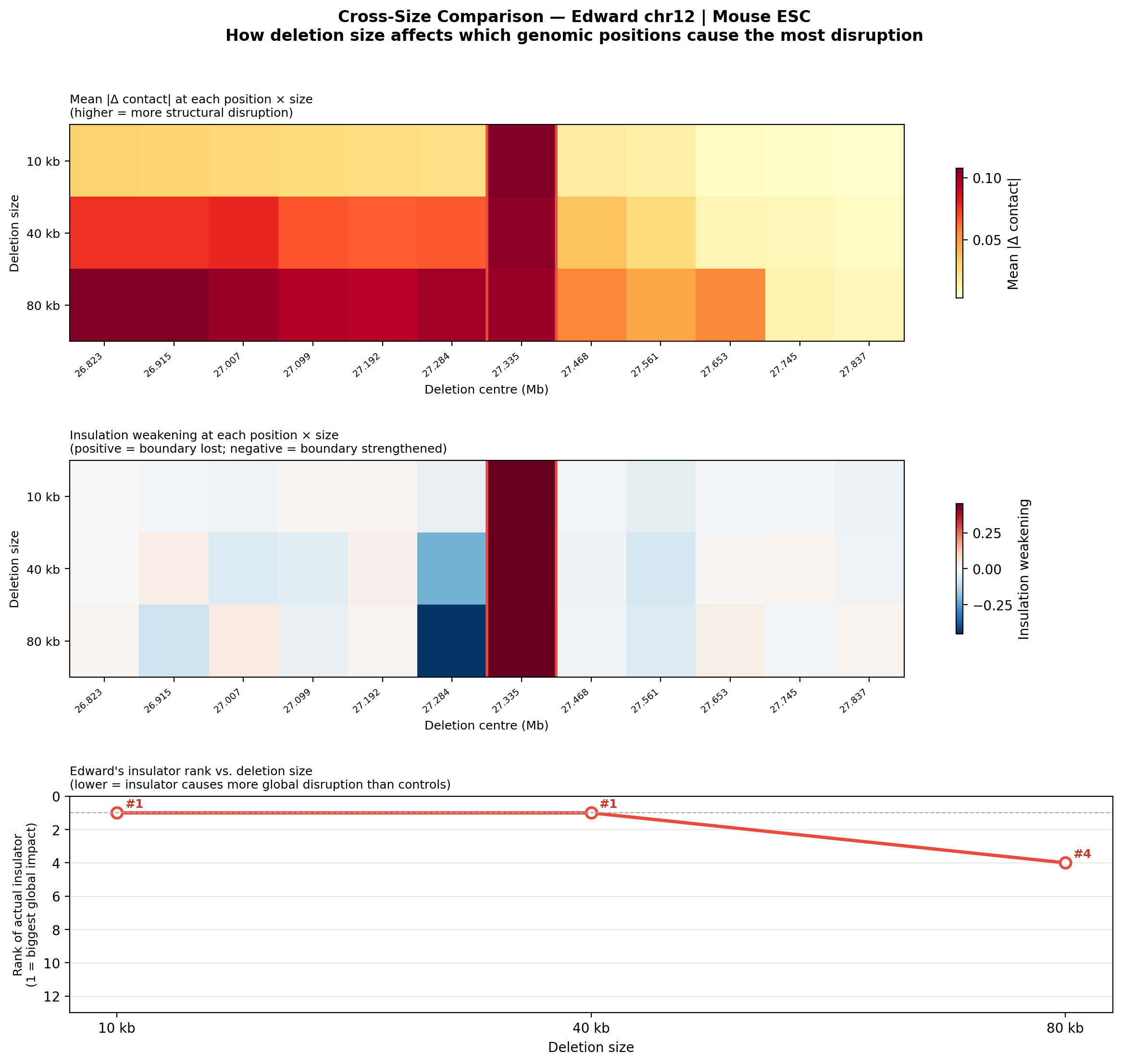 Edward cross-size comparison