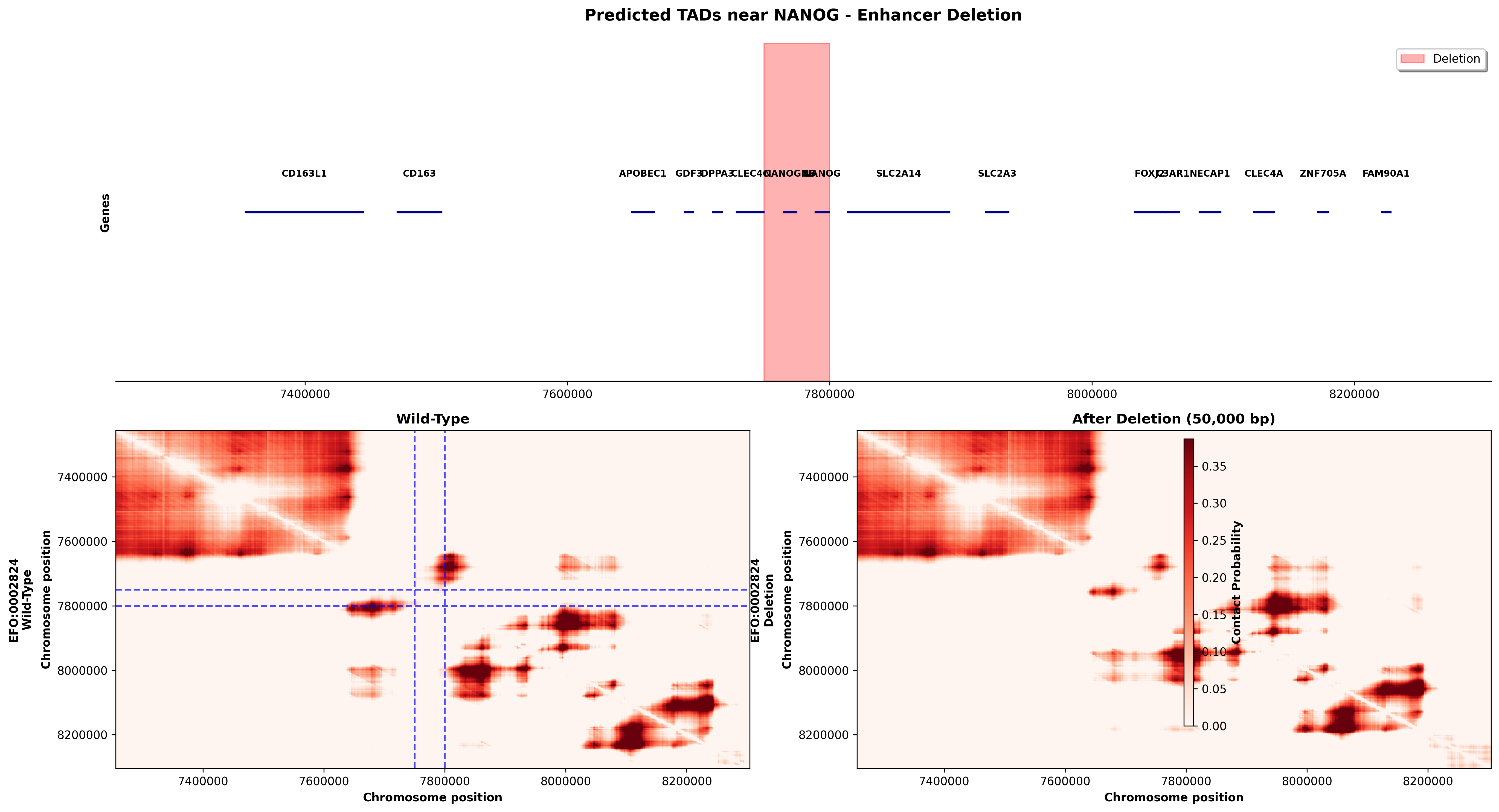 NANOG Deletion Effect