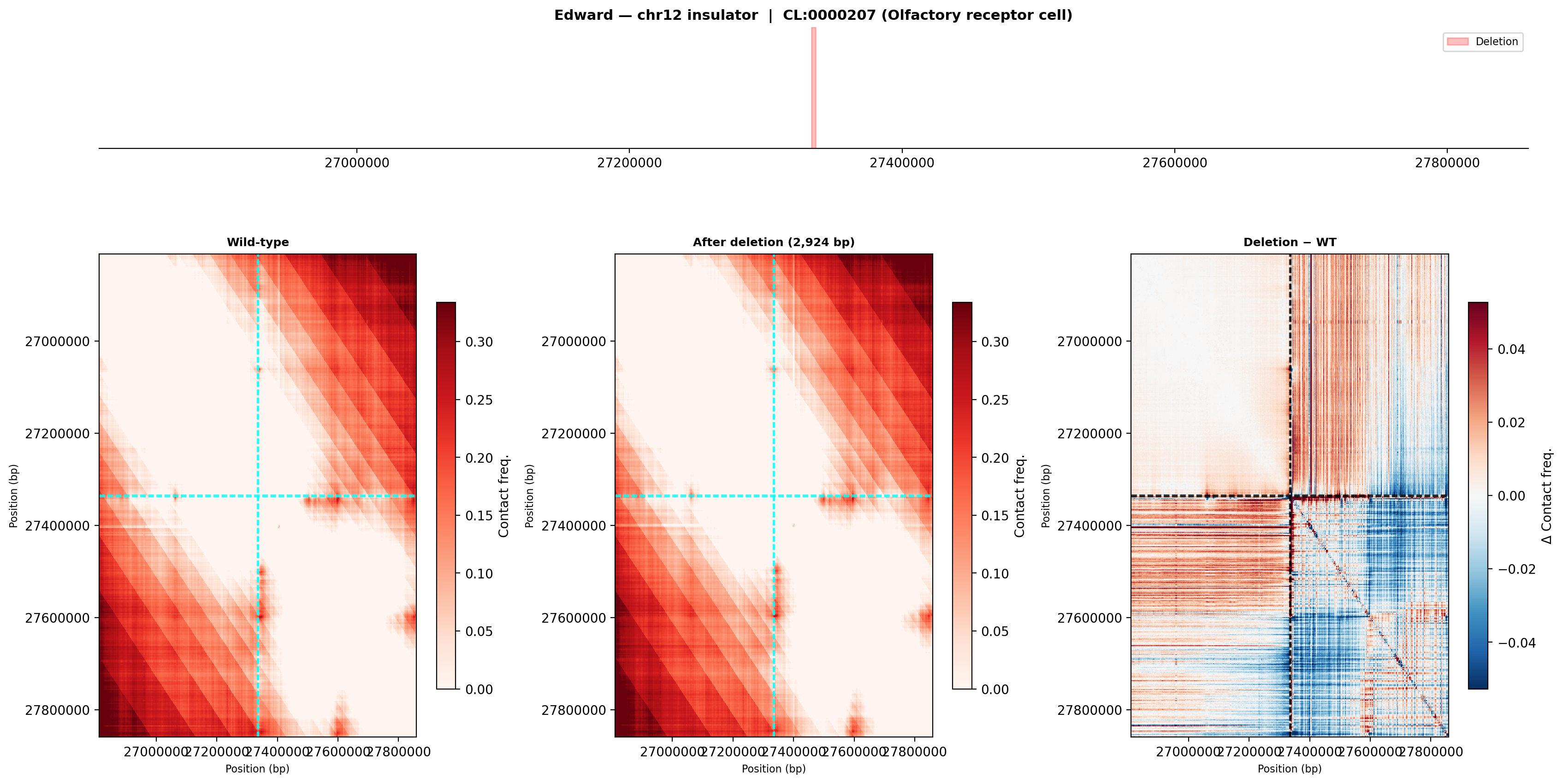 Edward chr12 olfactory