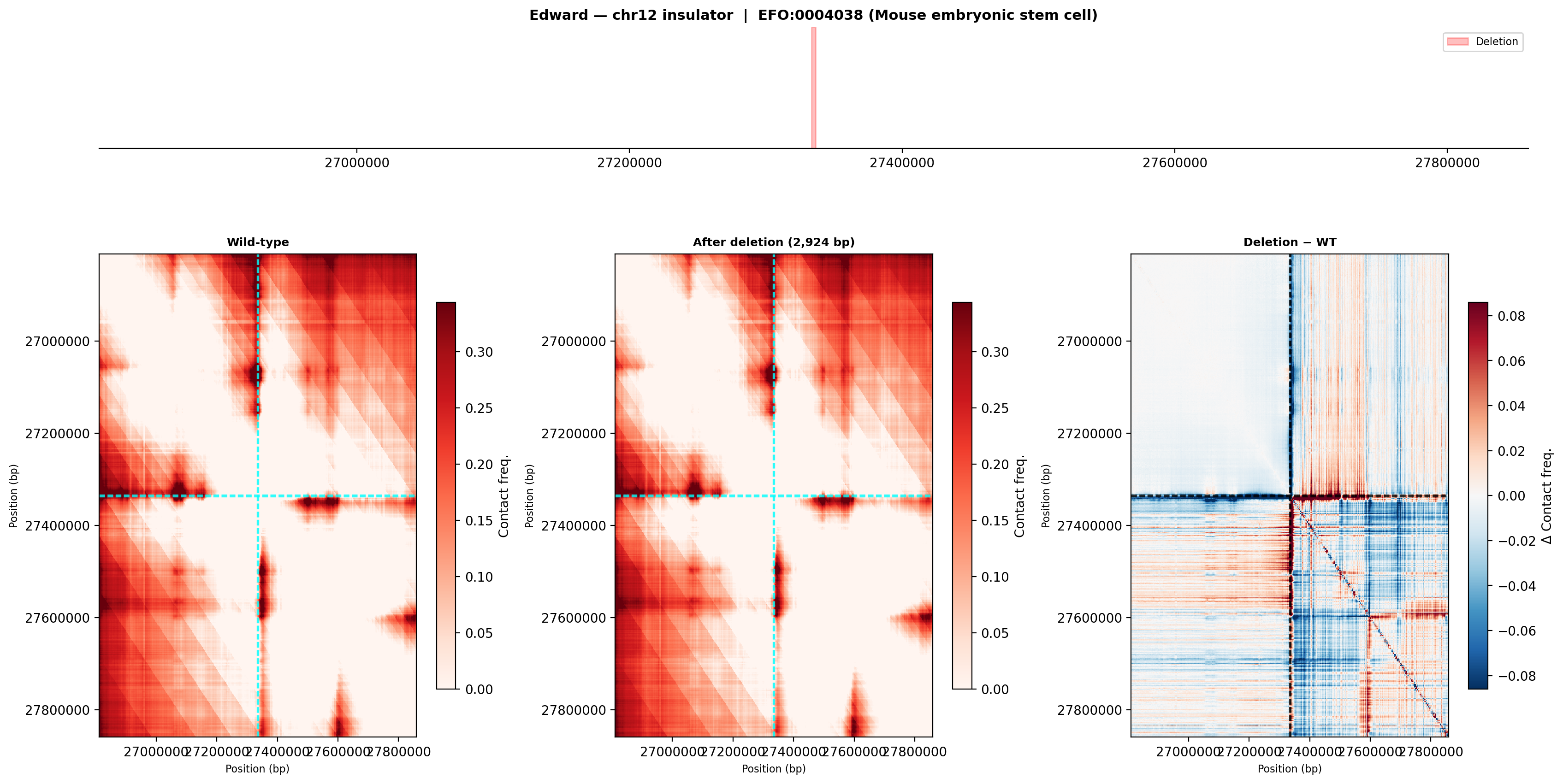Edward chr12 ES cell