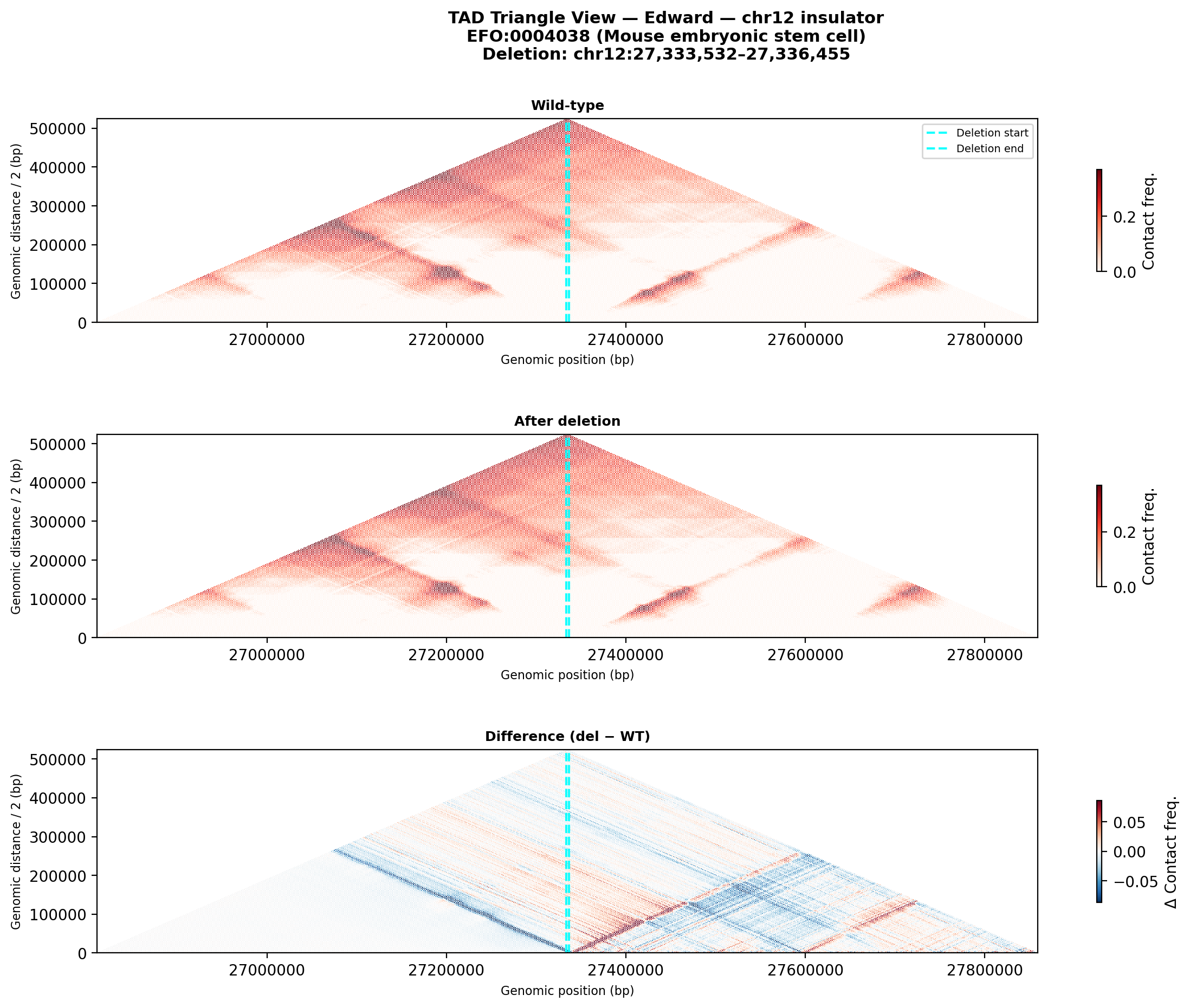 Edward chr12 triangle ESC