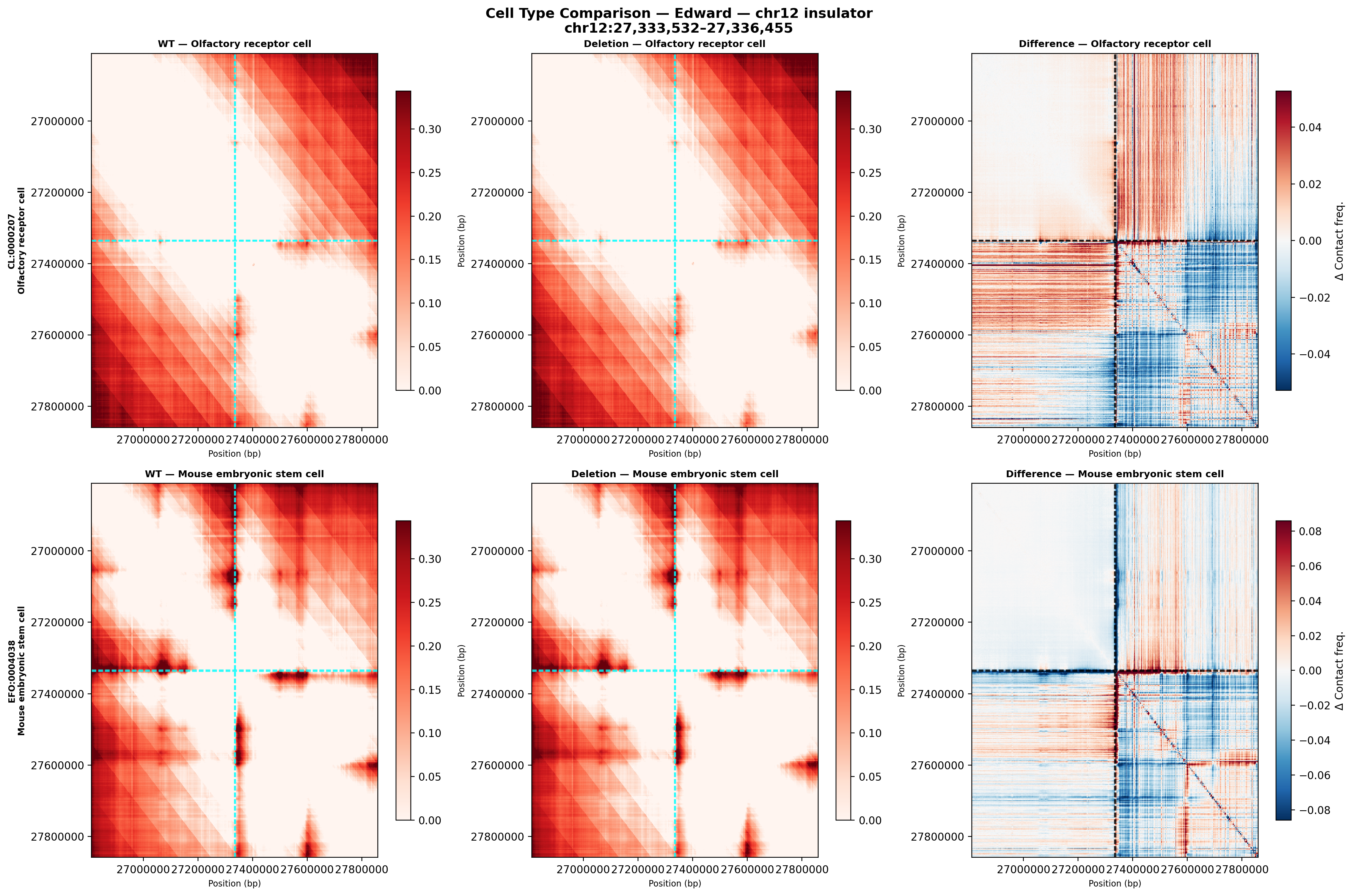 Edward chr12 comparison