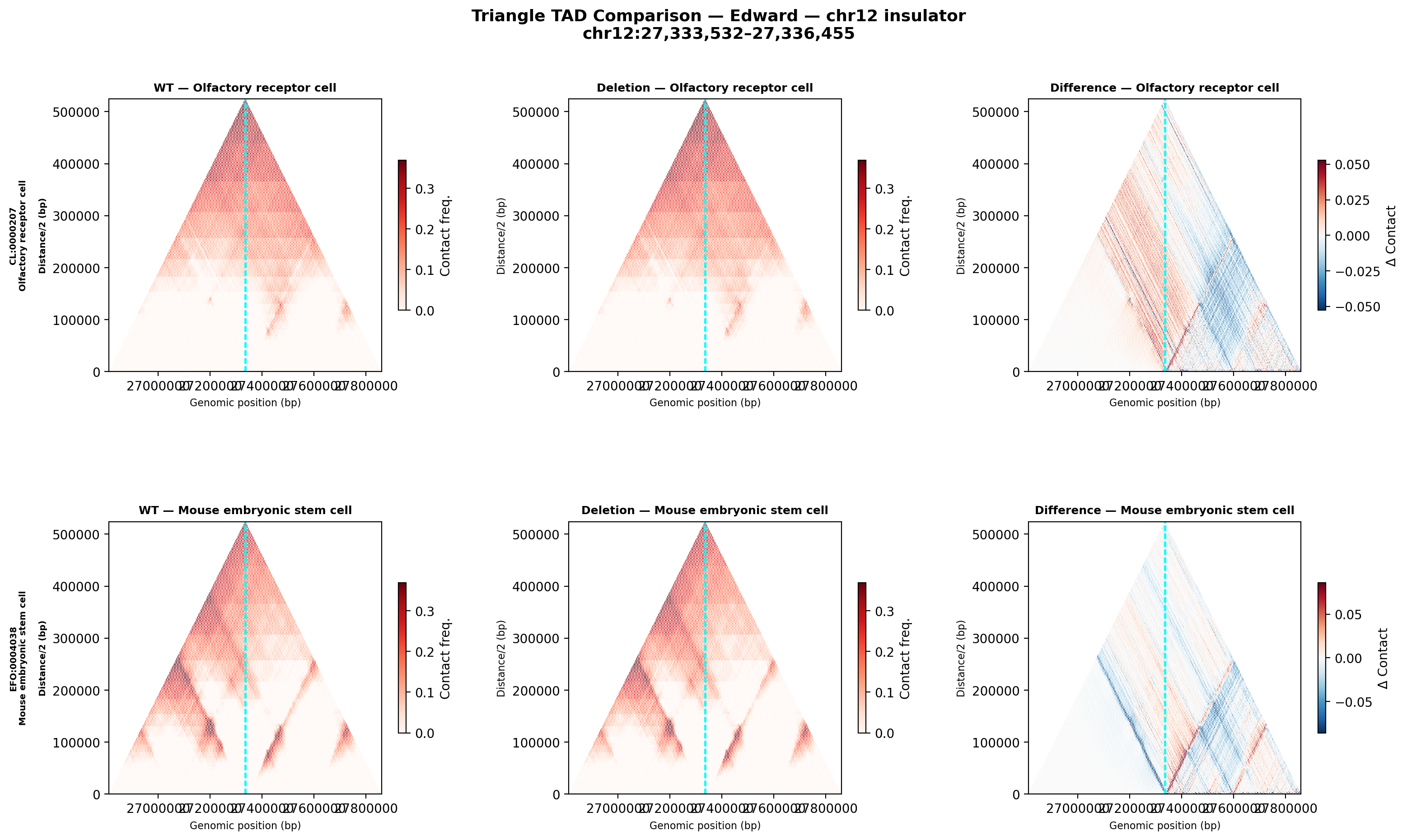 Edward chr12 triangle
