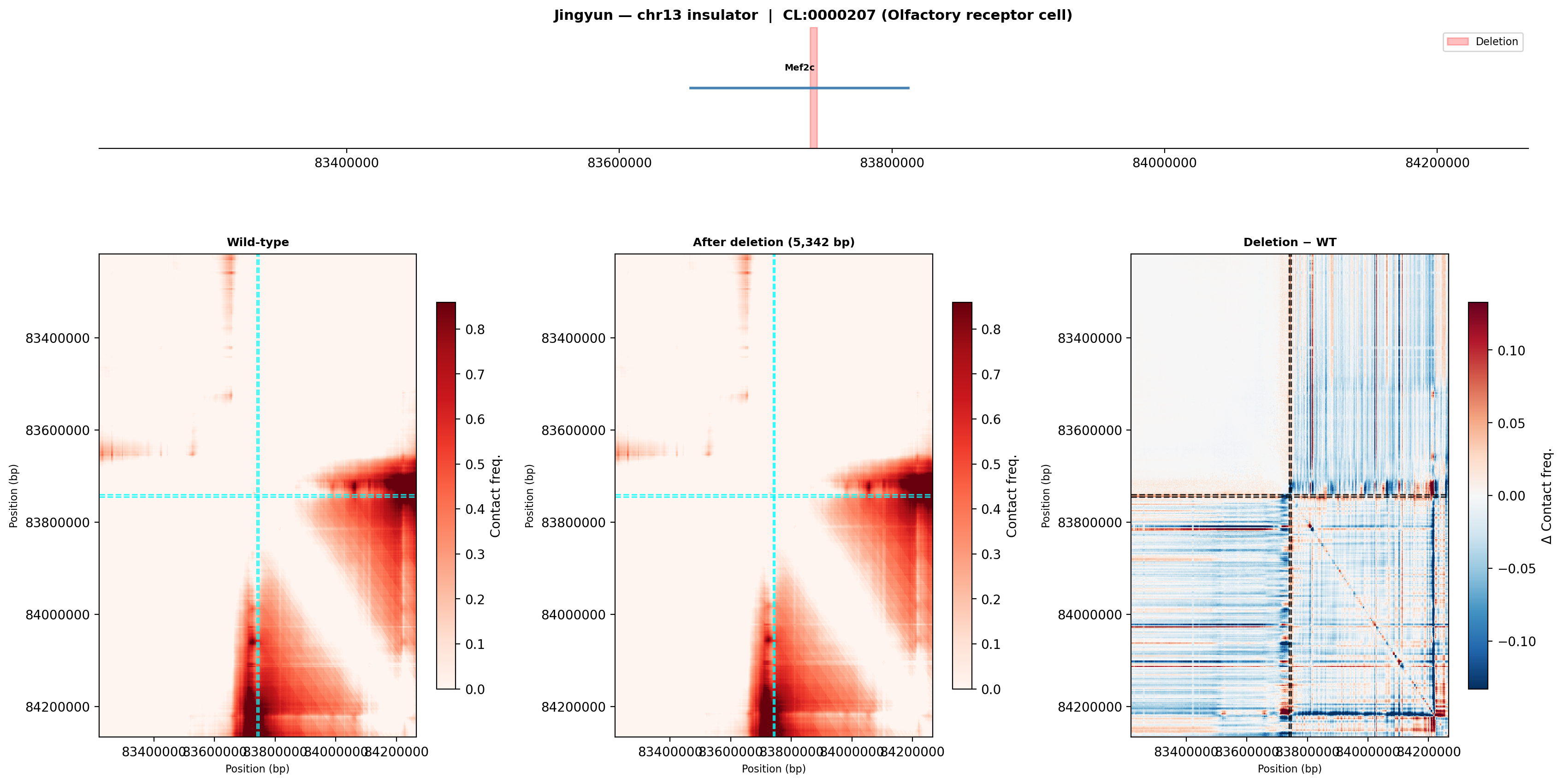 Jingyun chr13 olfactory