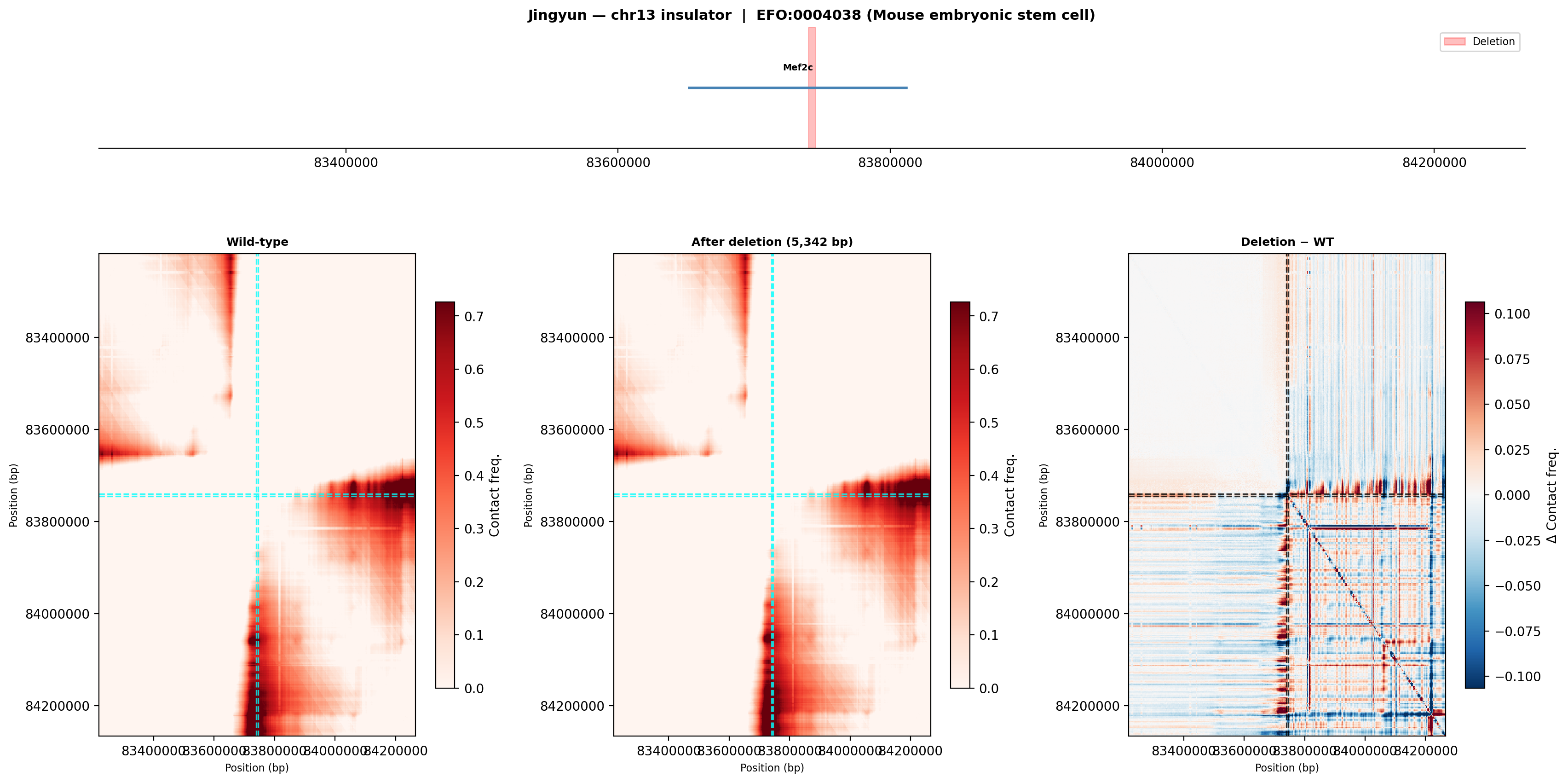 Jingyun chr13 ES cell