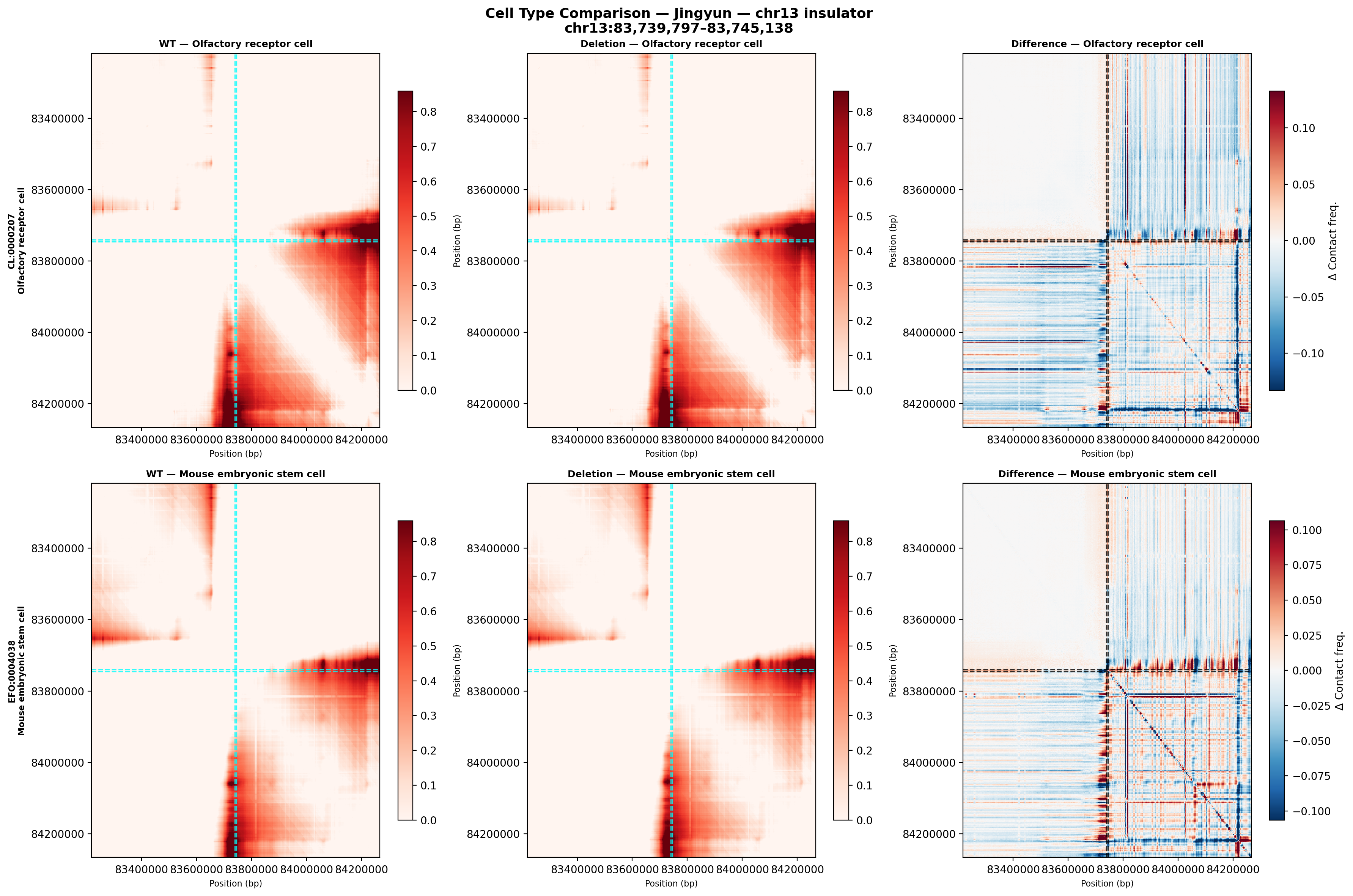 Jingyun chr13 comparison