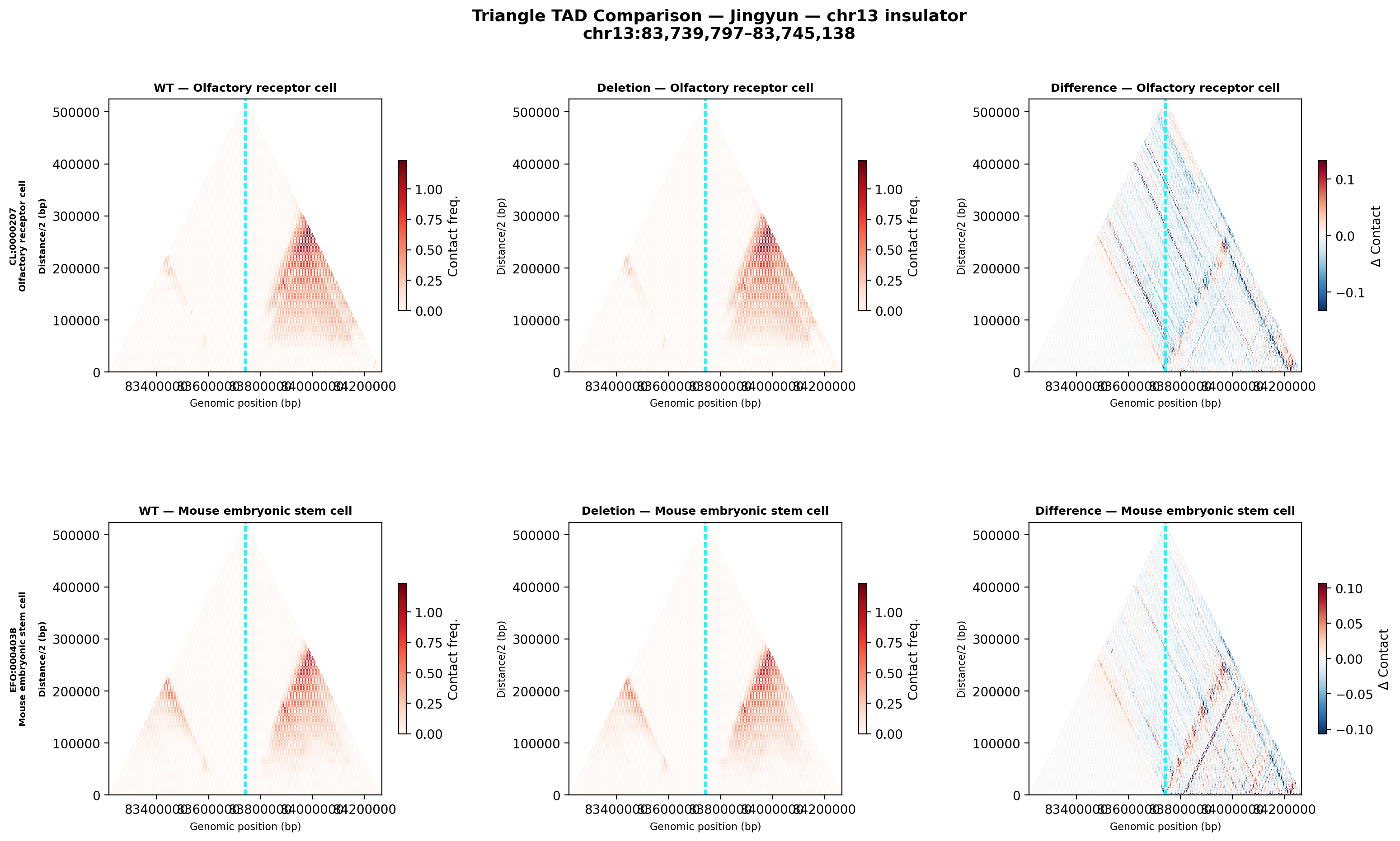 Jingyun chr13 triangle