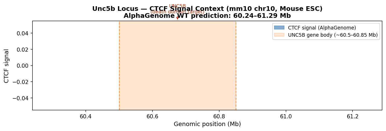 Unc5b locus CTCF signal — AlphaGenome WT prediction