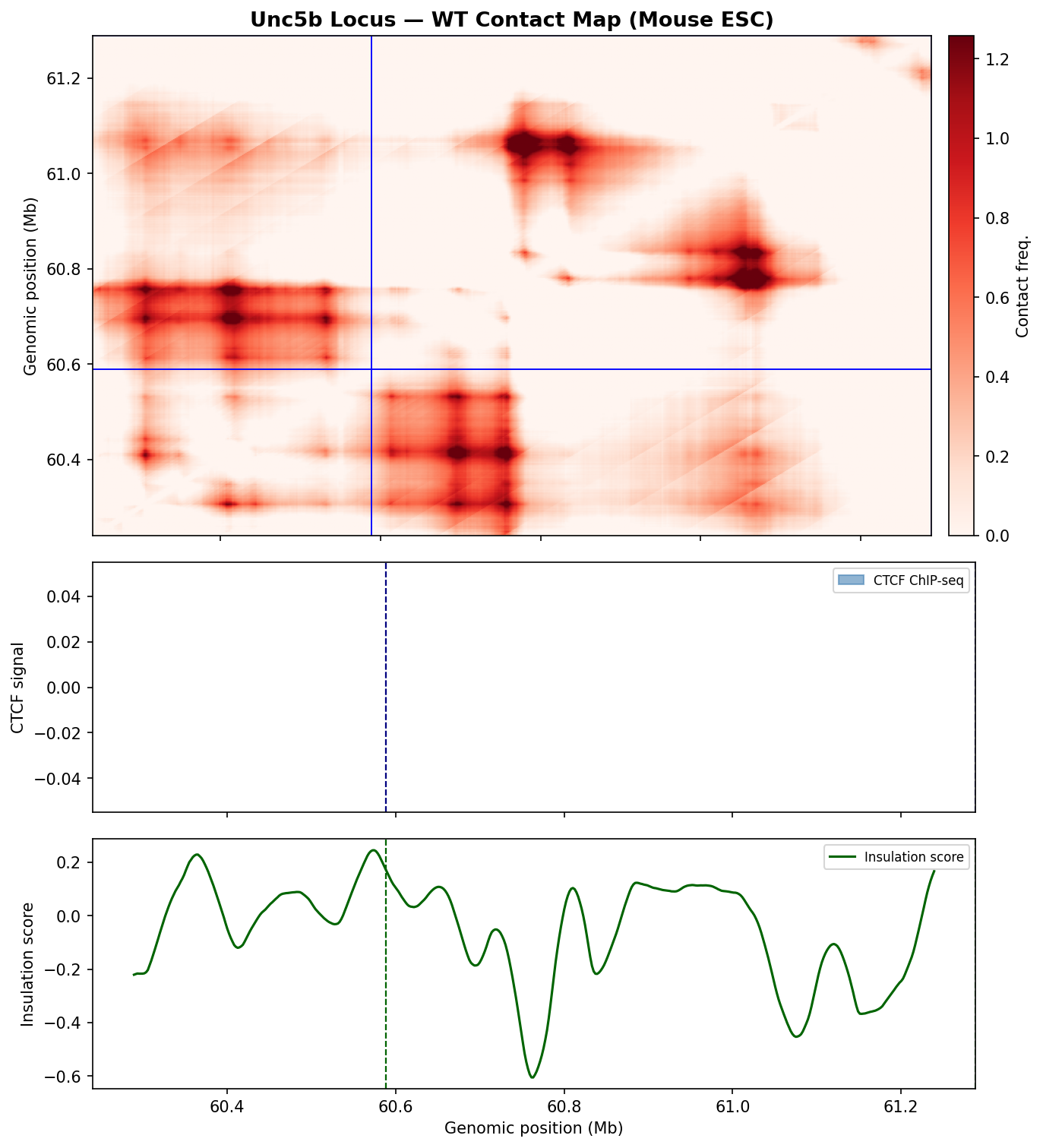 Exp 1 — Baseline WT contact map, CTCF signal, insulation score