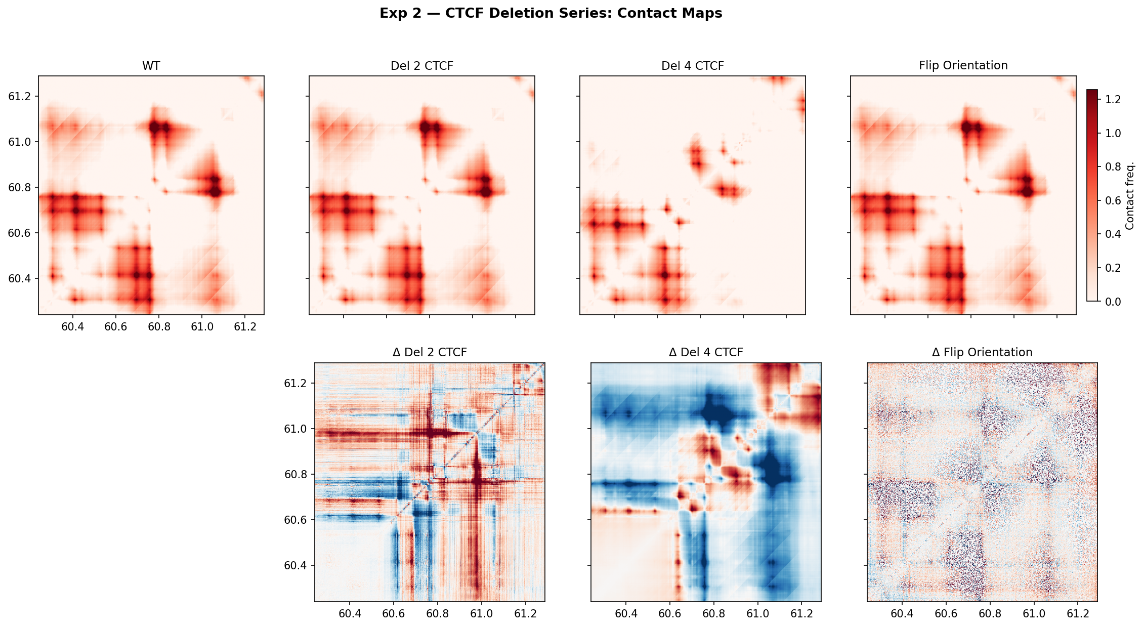 Exp 2 — Contact map panels (WT | Del2 | Del4 | Flip) + difference maps