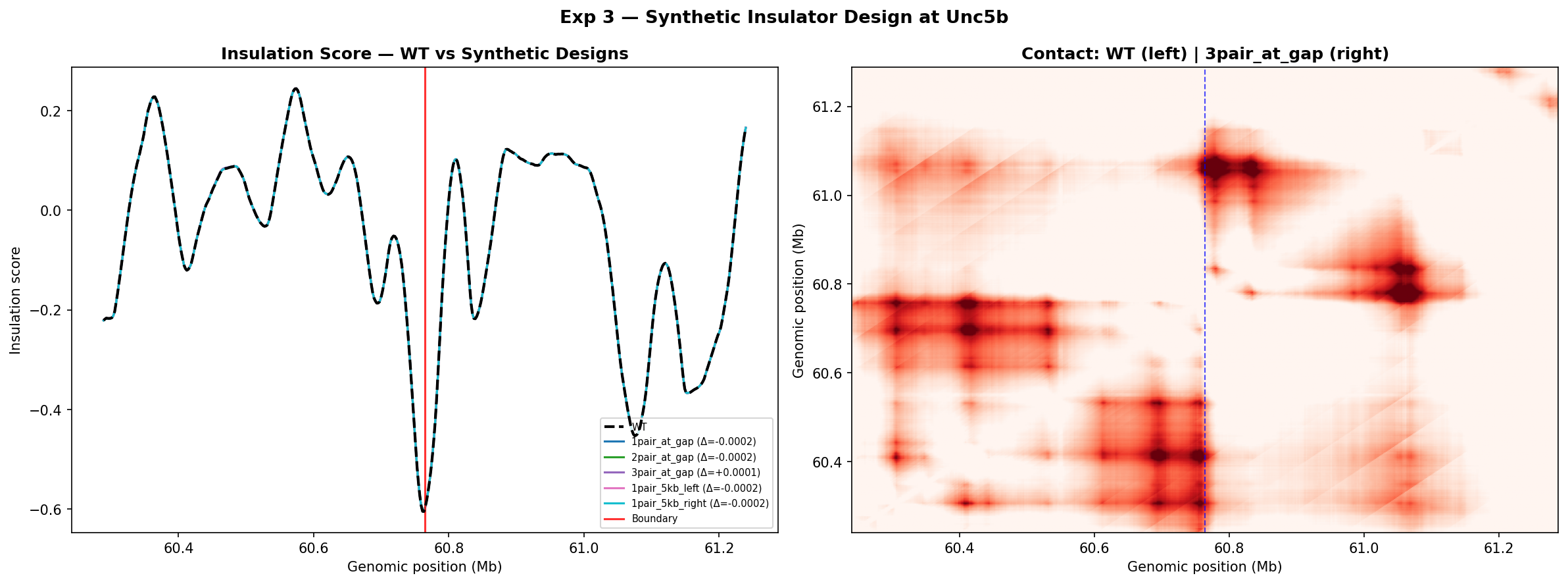 Exp 3 — Insulation score lines + WT vs best design contact comparison