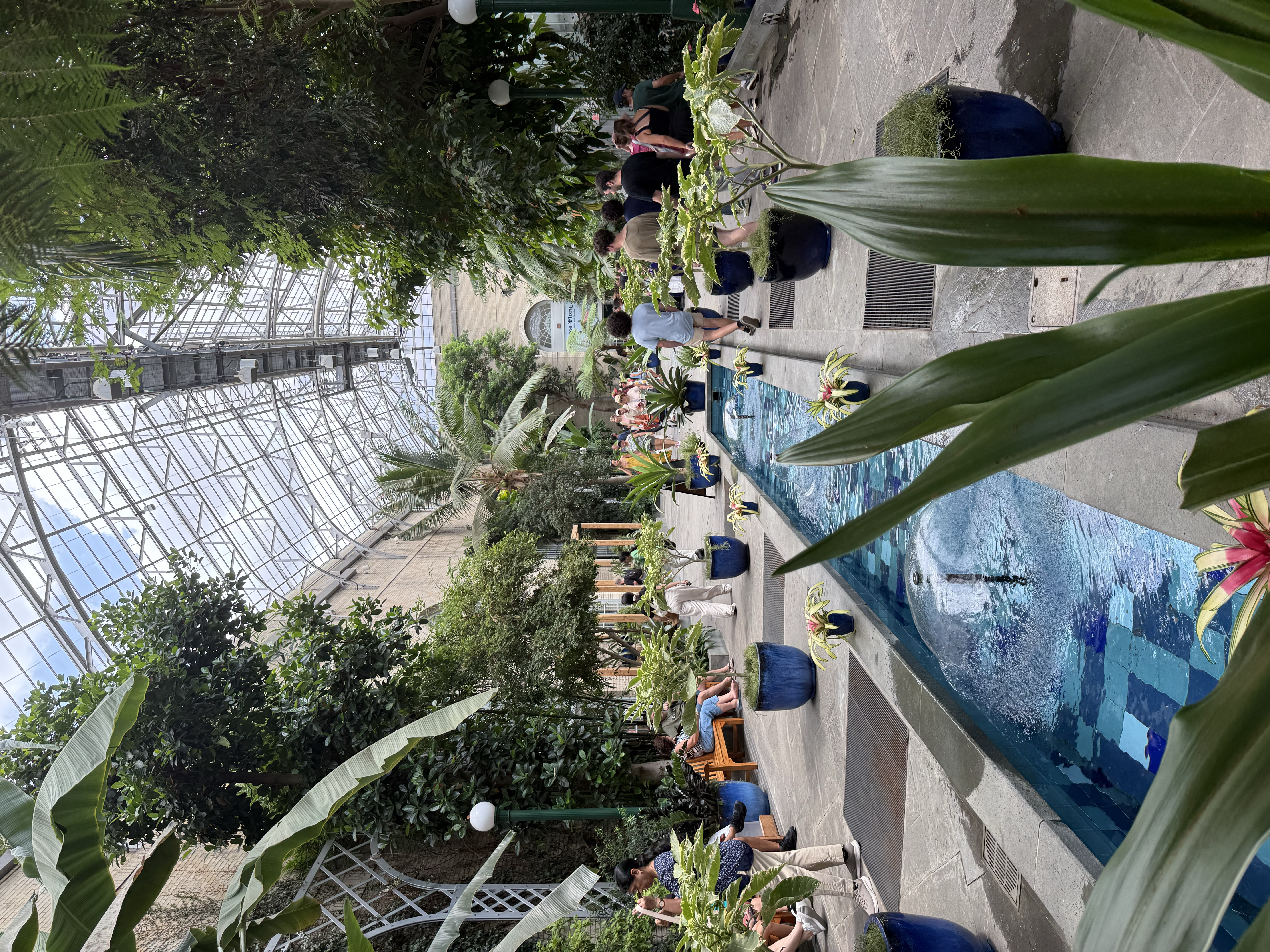 Glasshouse Light